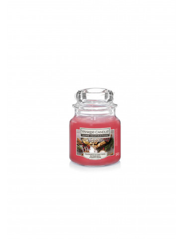 Yankee Candle Giara Piccola Mela e Cannella 104gr